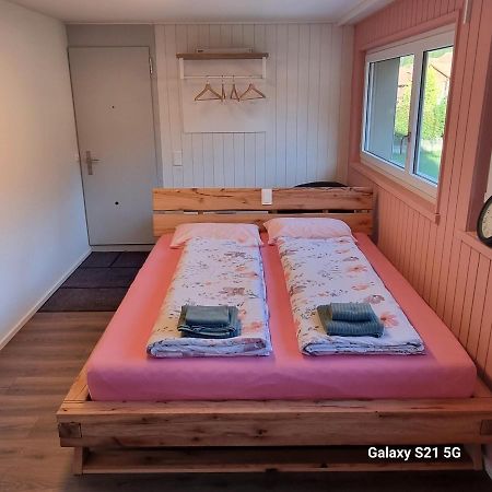 Mountain - Lake Apartment 3 Wilderswil Luaran gambar
