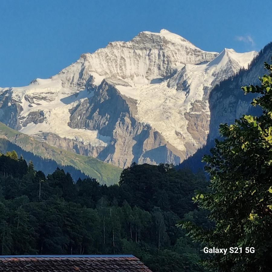 Mountain - Lake Apartment 3 Wilderswil Luaran gambar