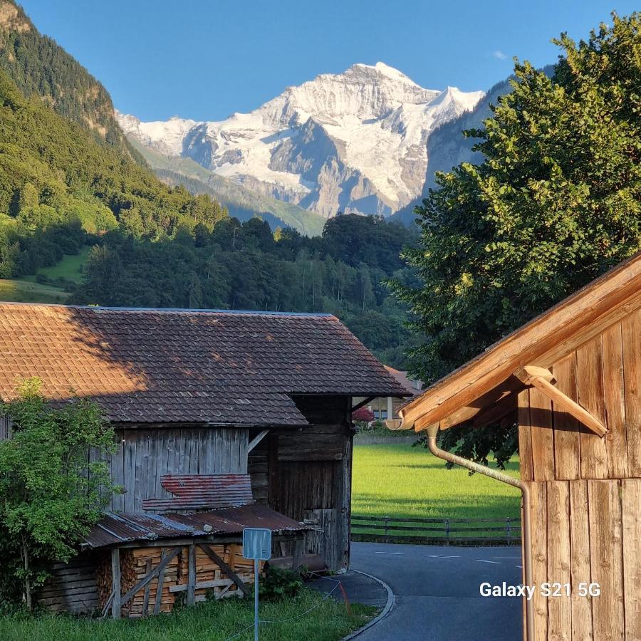 Mountain - Lake Apartment 3 Wilderswil Luaran gambar