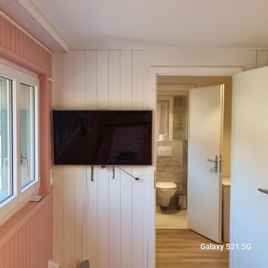 Mountain - Lake Apartment 3 Wilderswil Luaran gambar